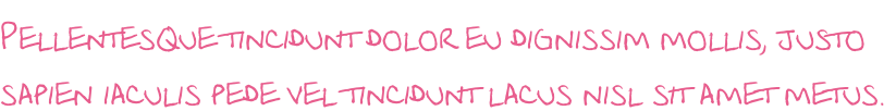 Pellentesque tincidunt dolor eu dignissim mollis, justo  sapien iaculis pede vel tincidunt lacus nisl sit amet metus.