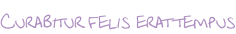 Curabitur felis erat tempus