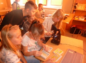 P1040045.JPG
