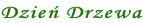 Dzień Drzewa